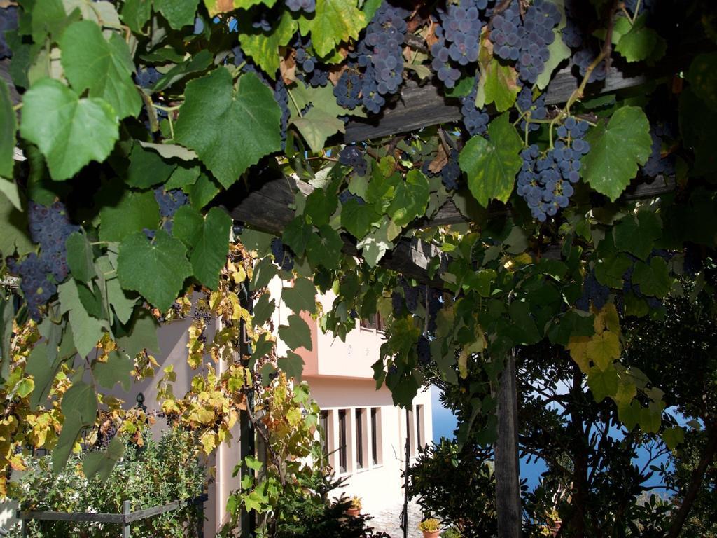 Villa Aglaini Áyios Dhimítrios Esterno foto