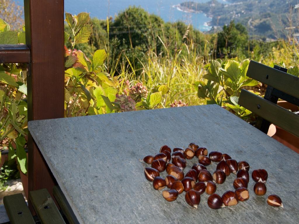 Villa Aglaini Áyios Dhimítrios Esterno foto