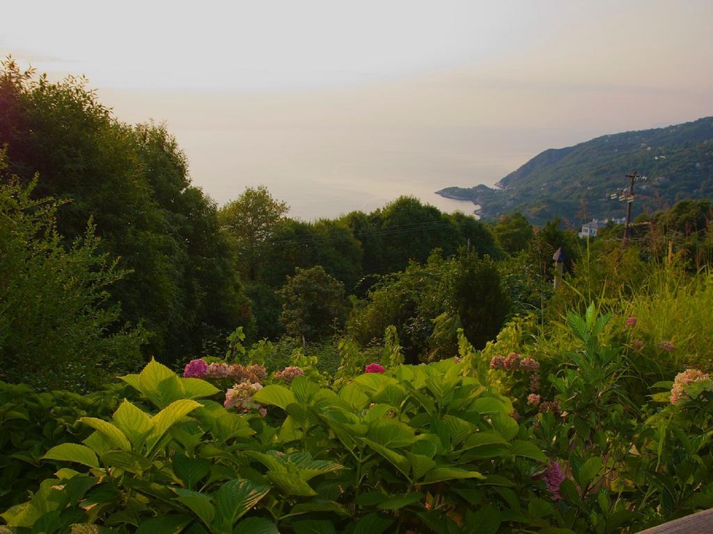 Villa Aglaini Áyios Dhimítrios Esterno foto